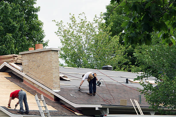 Best Roof Gutter Cleaning  in Georgiana, AL
