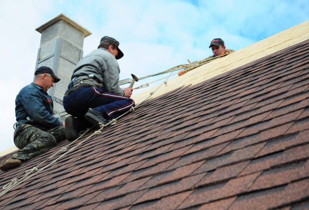Best Gutter Installation and Roofing  in Georgiana, AL